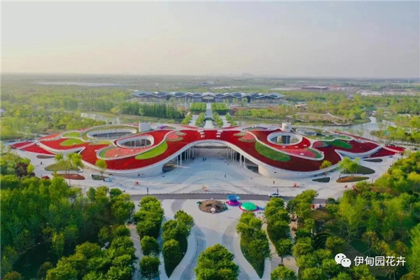 上海｜亲自体验中国花卉界的“奥林匹克”盛宴！